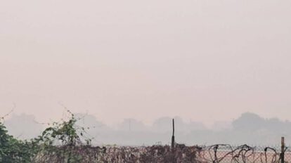 Incendios forestales en Bolivia