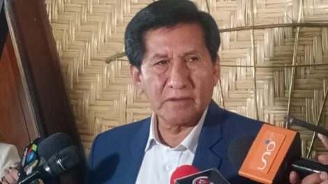 Referéndum en Bolivia propuesto por el Gobierno
