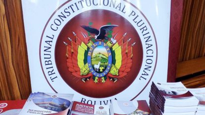 Eliminación gradual de subvenciones en el referendo propuesto por Luis Arce