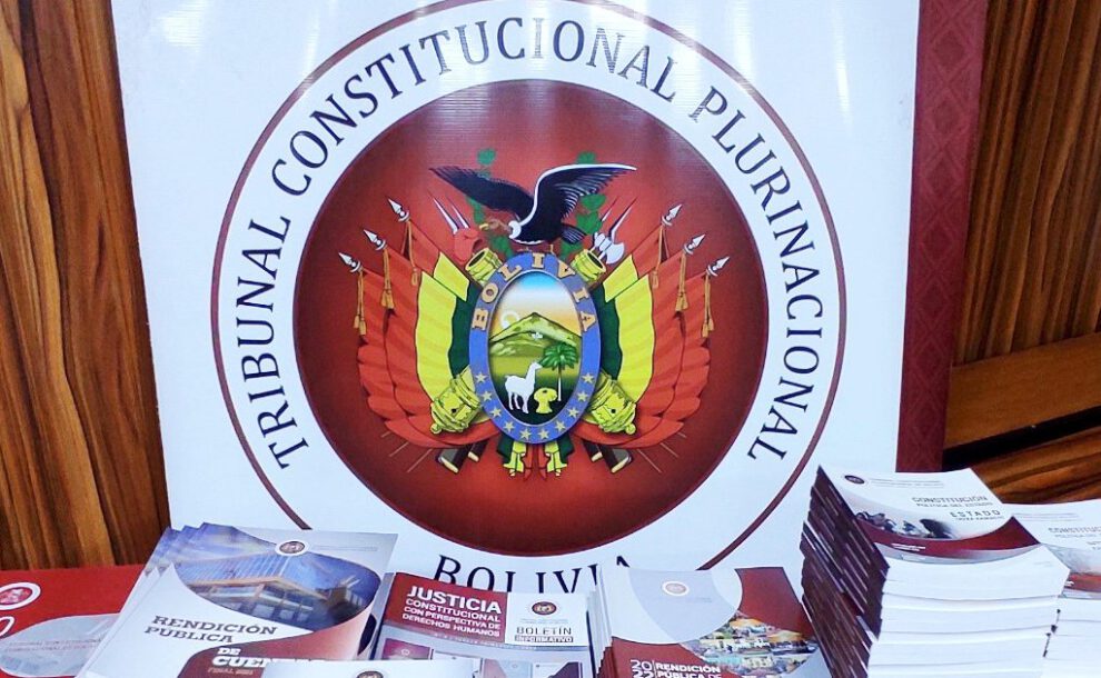 Eliminación gradual de subvenciones en el referendo propuesto por Luis Arce