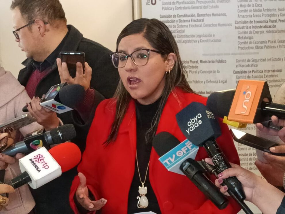 venta del avión presidencial propuesta por Lissa Claros