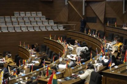 Cámara de Diputados rechaza proyecto de ley