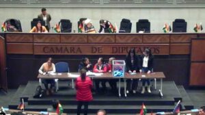 rechazo de crédito en la Cámara de Diputados