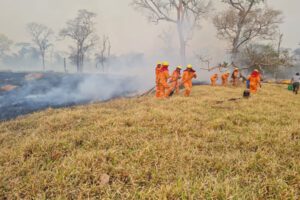 Incendios forestales en Bolivia