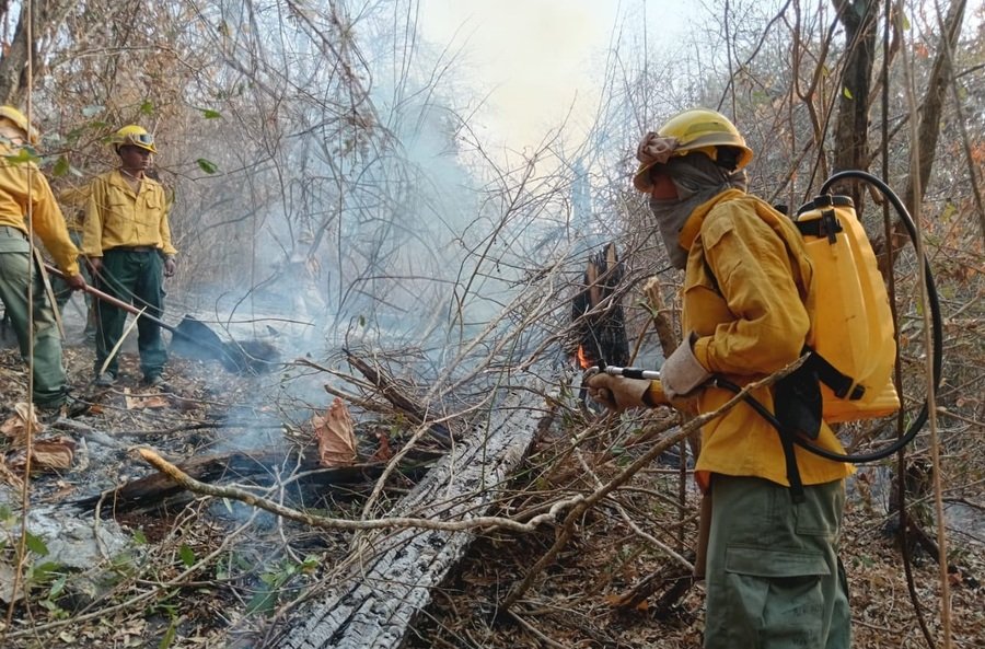 Incendios forestales en Santa Cruz y Beni