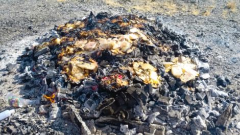 Agradecimiento a la Pachamama en agosto