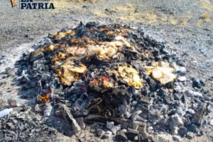 Agradecimiento a la Pachamama en agosto