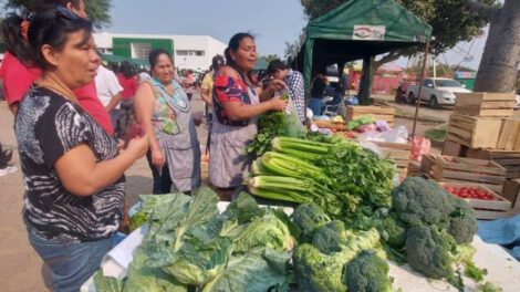 Feria Del Campo a la Olla en Santa Cruz