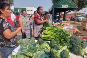 Feria Del Campo a la Olla en Santa Cruz
