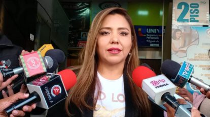 Rechazo a preguntas del referéndum por el Tribunal Constitucional