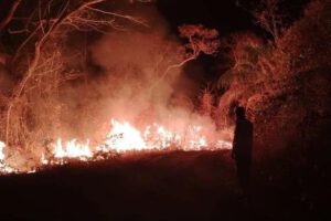 Incendios en San Matías devastan territorio y afectan comunidades