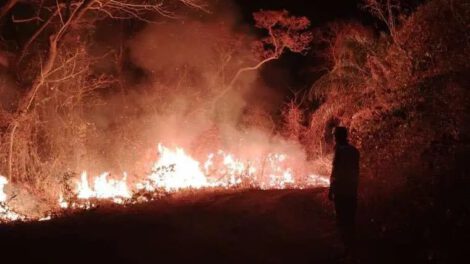 Incendios en San Matías devastan territorio y afectan comunidades
