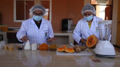 Guaraníes de Bolivia transforman frutos silvestres en delicias