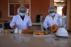 Guaraníes de Bolivia transforman frutos silvestres en delicias