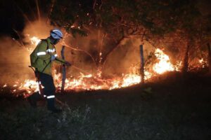 Incendios en Guarayos provocados por tres individuos