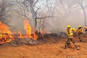 Incendios forestales en Bolivia
