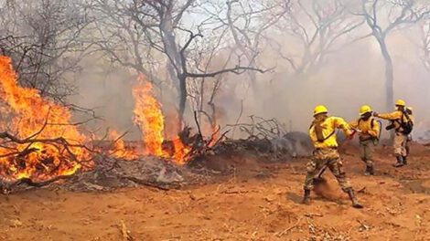 Incendios forestales en Bolivia