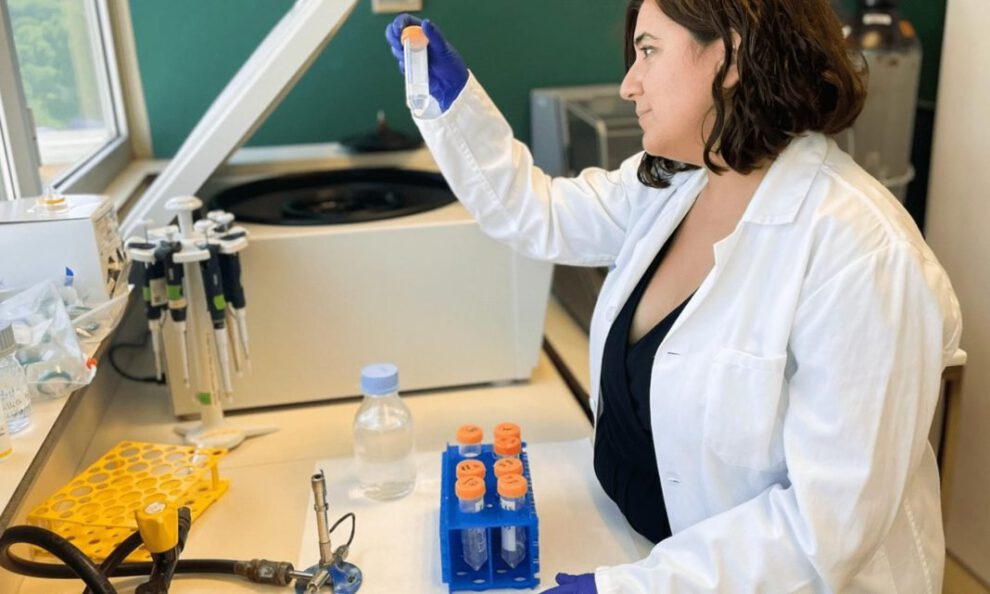 Trasplante de células madre VIH