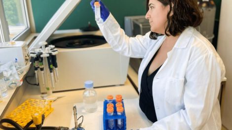 Trasplante de células madre VIH