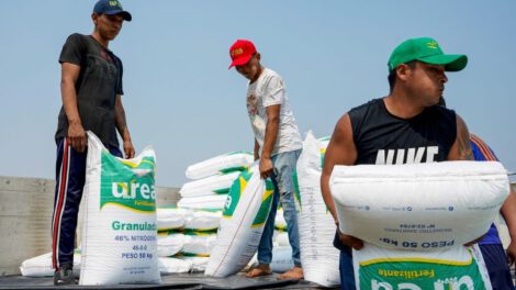 venta de urea en Bolivia