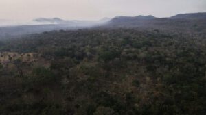 Fotografía de un incendio forestal en Bolivia