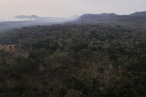 Fotografía de un incendio forestal en Bolivia