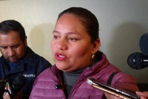 Comisión revisora datos censales propuesta por Deisy Choque