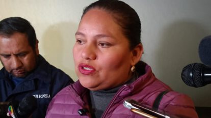 Comisión revisora datos censales propuesta por Deisy Choque