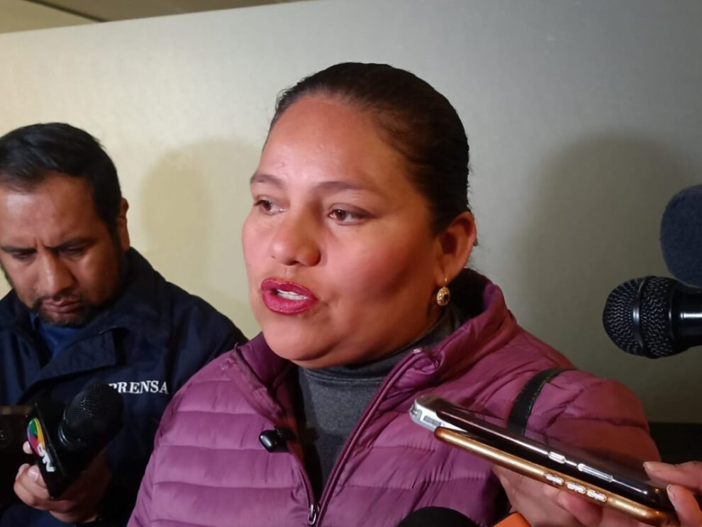 Comisión revisora datos censales propuesta por Deisy Choque