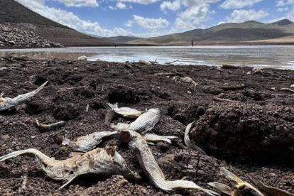 Sequía en Chihuahua: Presa Las Lajas se agota al 98%