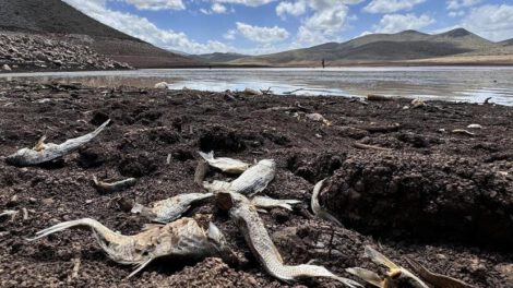 Sequía en Chihuahua: Presa Las Lajas se agota al 98%
