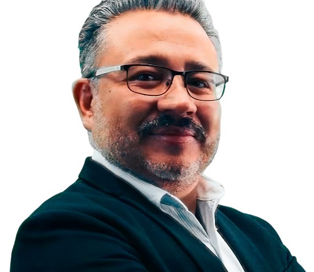 Democracia sin partidos políticos