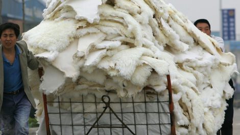 Virus en granjas peleteras identificados en estudio