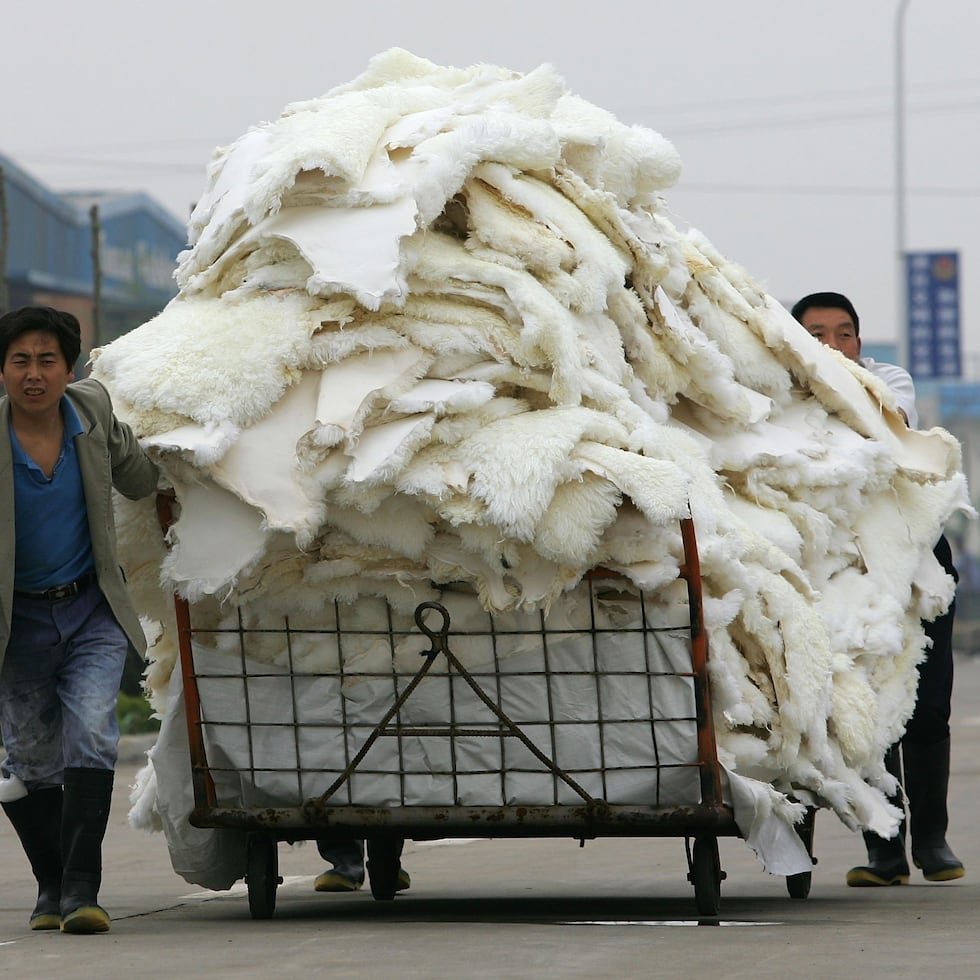 Virus en granjas peleteras identificados en estudio