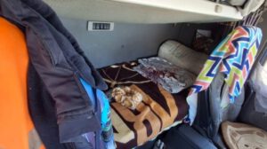 Divisas no declaradas encontradas en un bolso en la cabina principal del motorizado