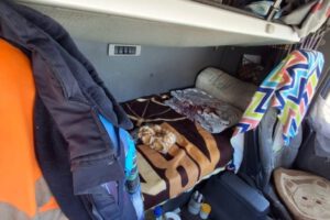 Divisas no declaradas encontradas en un bolso en la cabina principal del motorizado