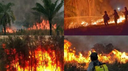 Emergencia nacional por incendios en Bolivia