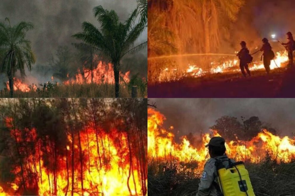 Emergencia nacional por incendios en Bolivia