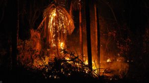 Apoyo internacional incendios Bolivia