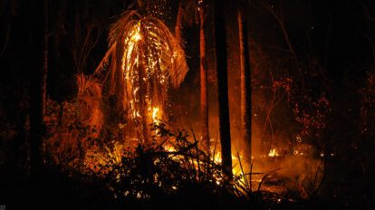 Apoyo internacional incendios Bolivia