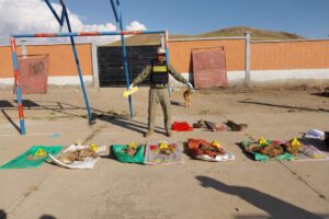 biocidio en albergue de mascotas