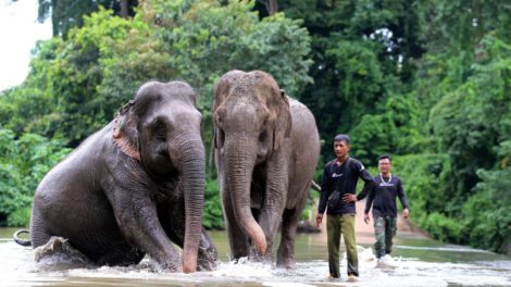 turismo sostenible en Vietnam