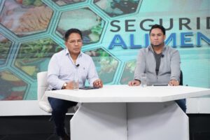 Exportación de arroz y leche afecta al mercado nacional