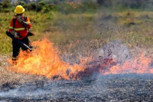 Incendios forestales en el Chaco paraguayo