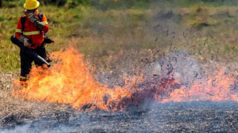 Incendios forestales en el Chaco paraguayo