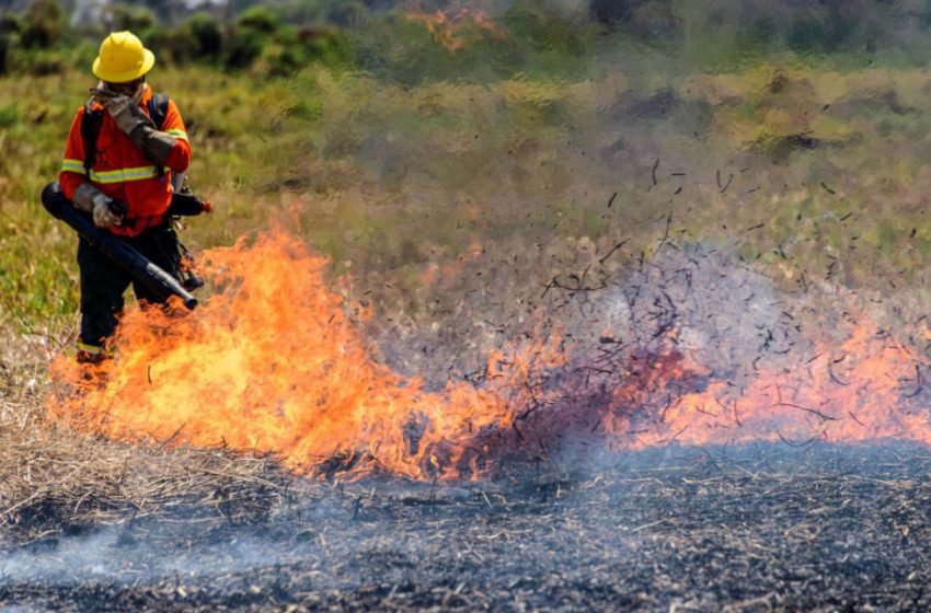 Incendios forestales en el Chaco paraguayo