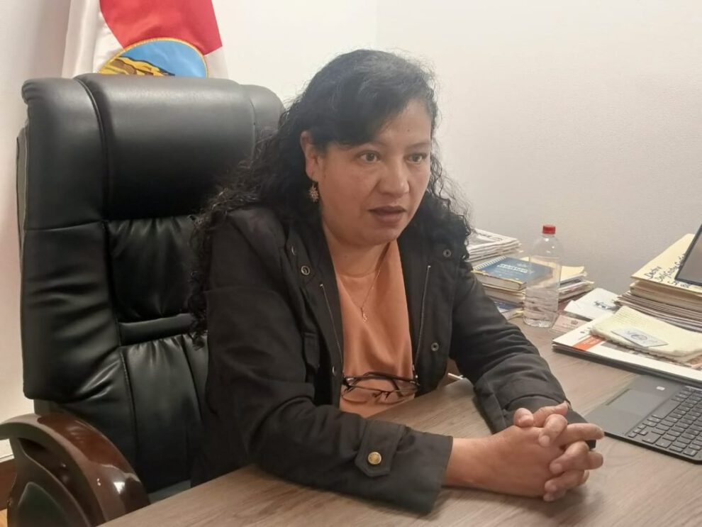 Daly Santa María critica el manejo económico de Luis Arce