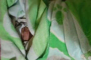 Abandono infantil en La Paz