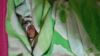 Abandono infantil en La Paz