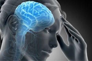 Desarrollo cerebral en adolescentes durante la pandemia